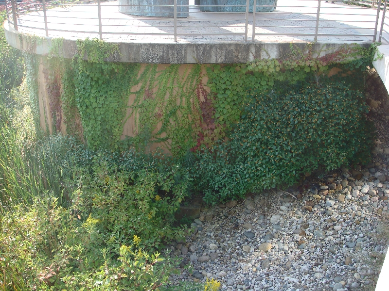 Western Michigan [2009] 201.JPG - Scenes from Frederik Meijer Gardens & Sculpture Park.